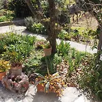 Casa Fortuna Tatil Evi